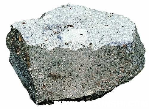 bstee.jpg