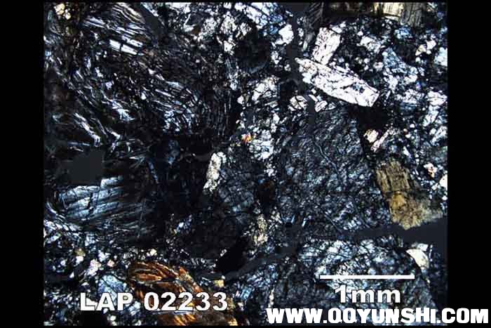 LAP02233_XN.jpg