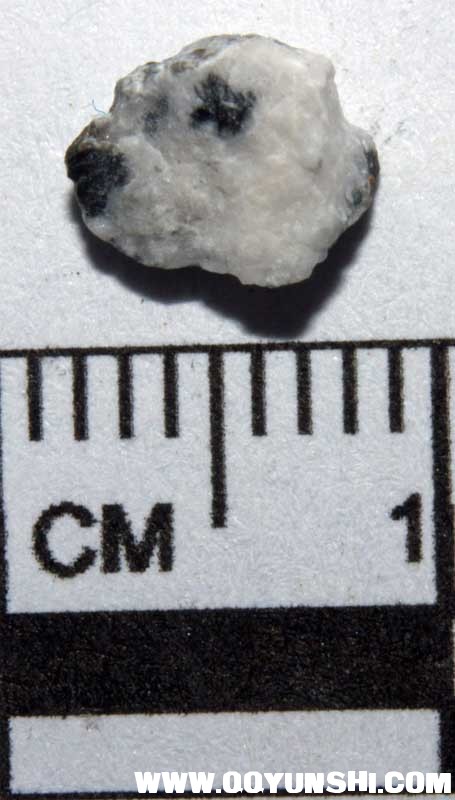 15451_23856_661.jpg