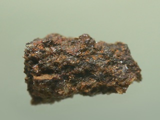 nwa1235_shinishi_kato.jpg