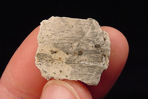 18786_6275_183.jpg