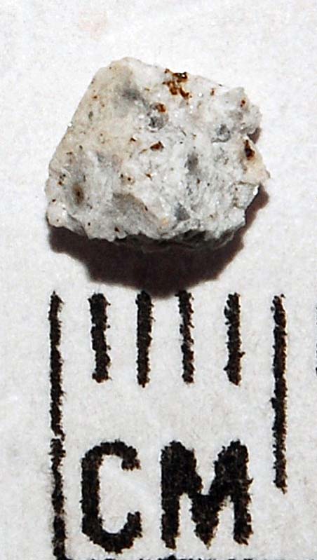 18786_13749_661.jpg