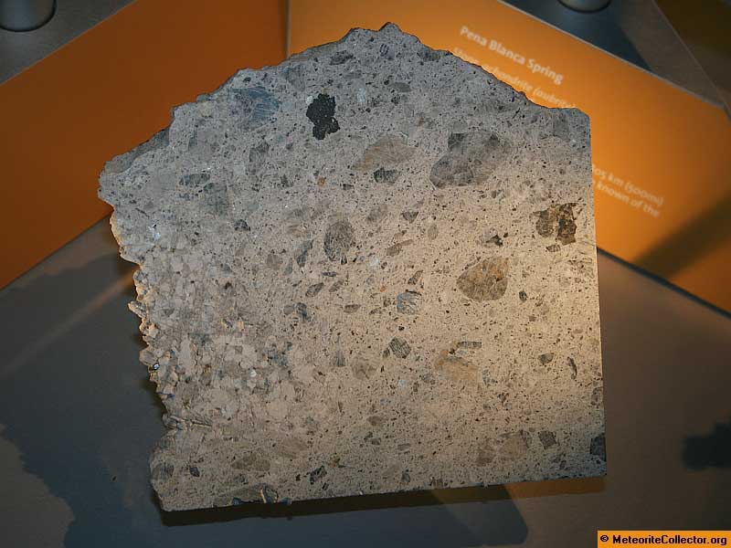 18786_13794_2745.jpg