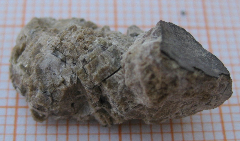 5045_5583_1051.jpg