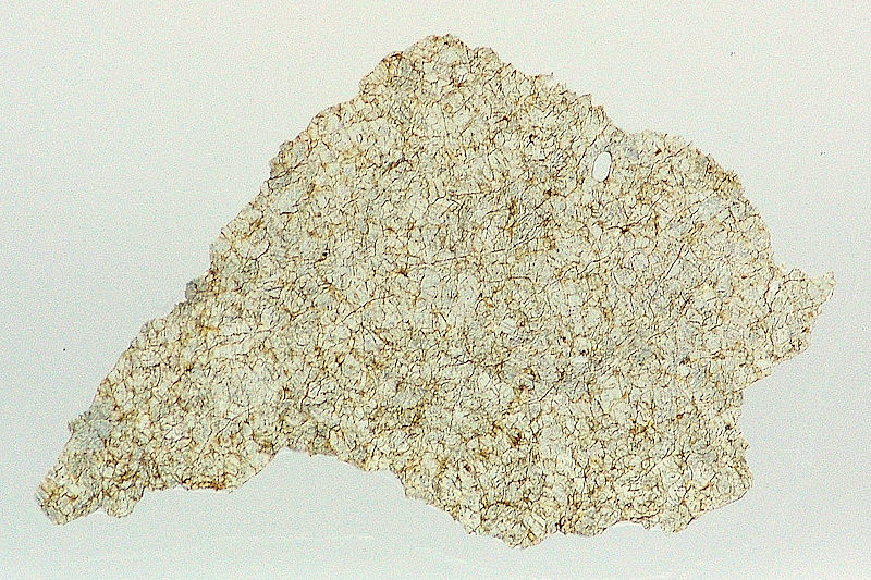 7456_25360_2587.jpg