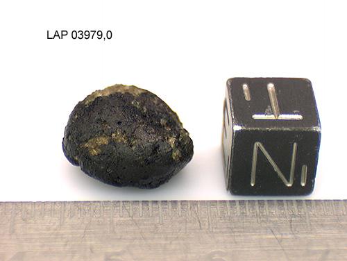 LAP03979_1.jpg