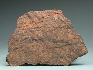 nwa002_asahi.jpg
