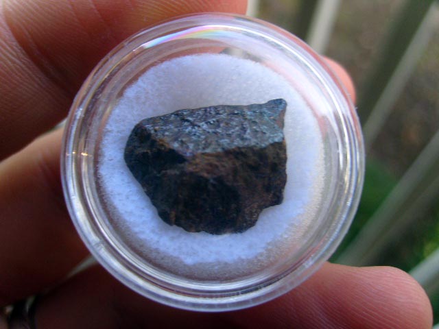 33415_7937_1226.jpg