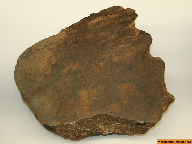 33415_13277_2761.jpg