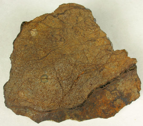 nwa2965_bostick.jpg