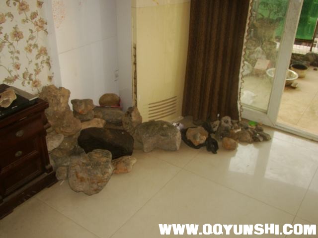 DSC04157.JPG