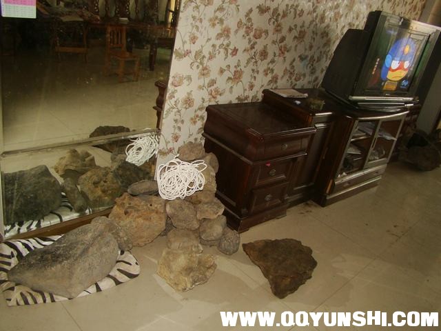 DSC04179.JPG