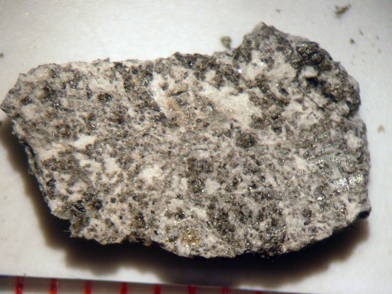 47355_26475_2585.jpg