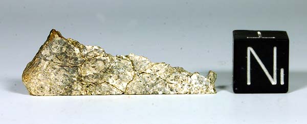 Cachari.jpg