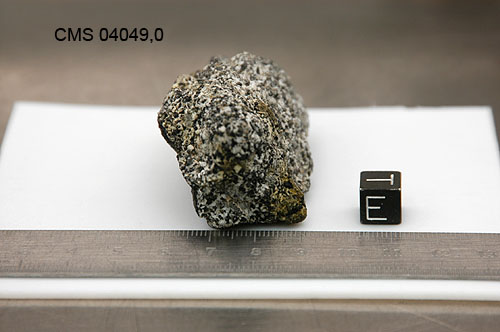 CMS04049e.jpg