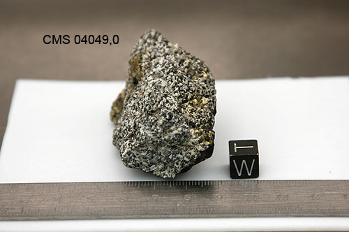 CMS04049i.jpg