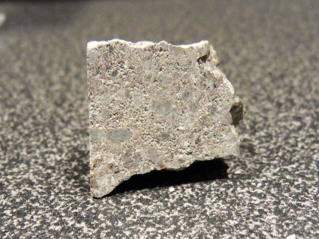 33399_15290_2756.jpg