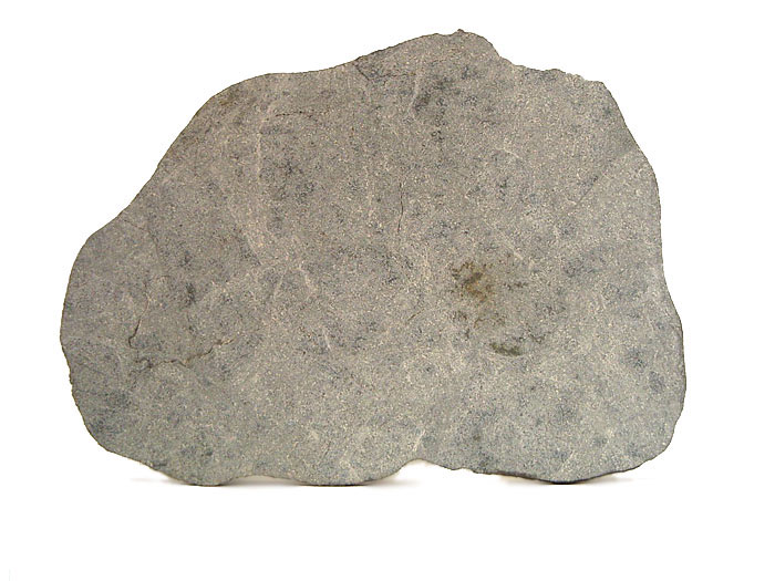 tihedjirine_franco3.jpg
