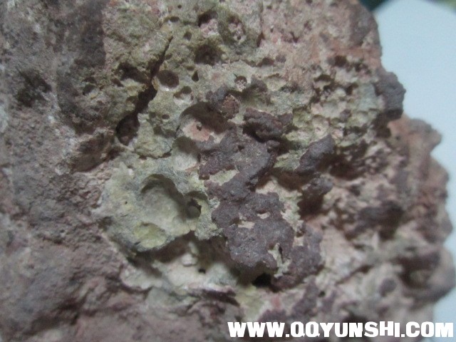照片888yun 375.jpg