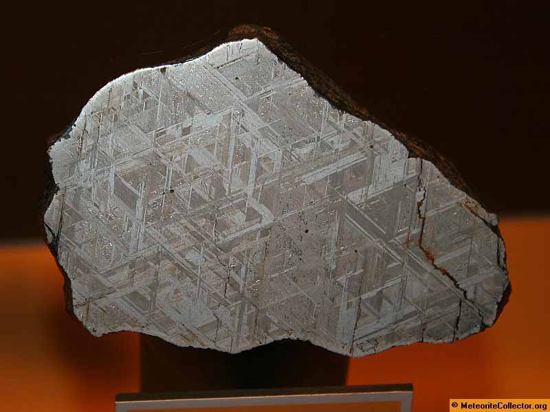 5377_14400_2745.jpg