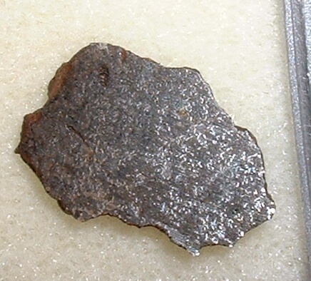 Dalgaranga_don_edwards.jpg