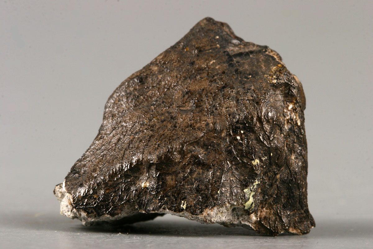 30378_5879.jpg