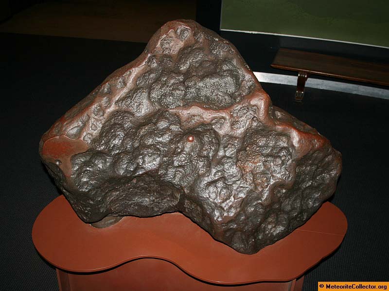 5262_9928_2686.jpg