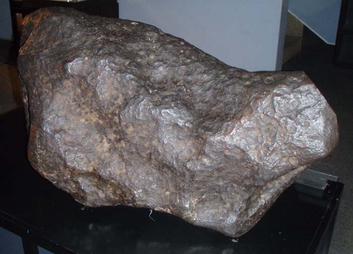 kouga_martin_horejsi.jpg