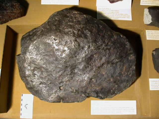 lenarto2.jpg