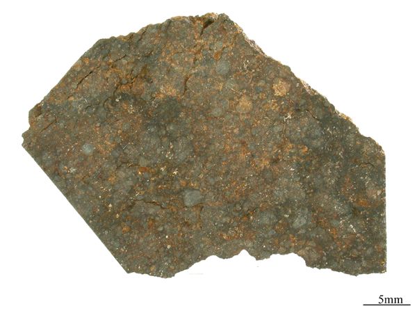 clovis1.jpg