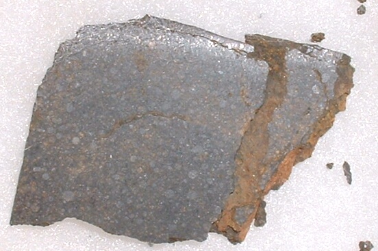 Clovis1_don_edwards.jpg