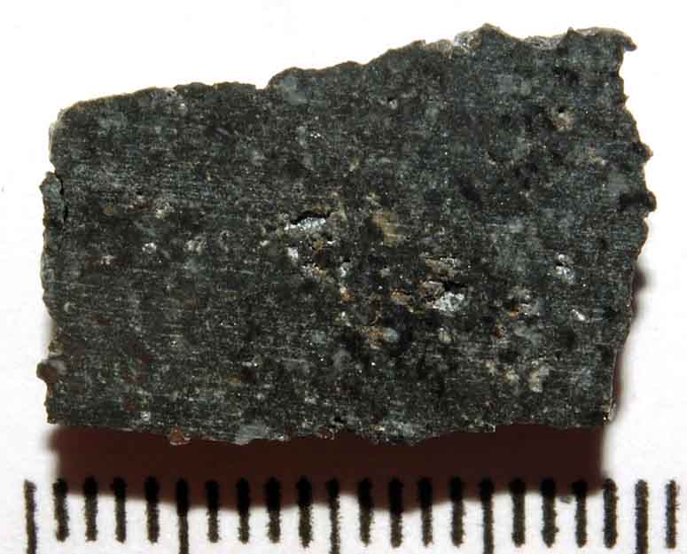 5392_14559_661.jpg