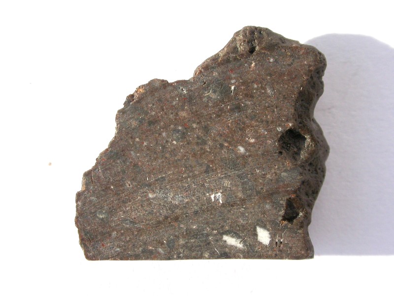 dho308_classen.jpg