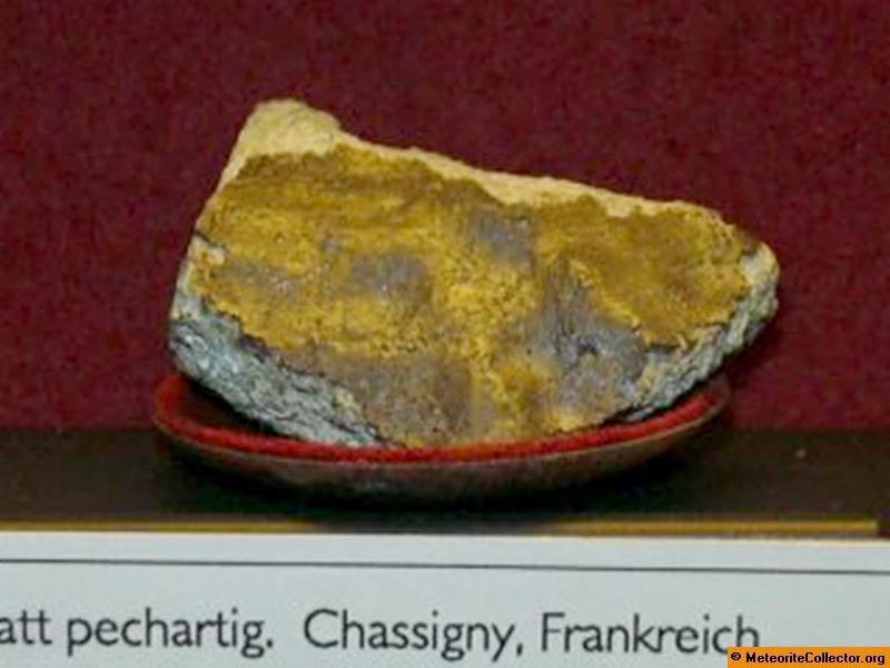 5331_11766_2717.jpg
