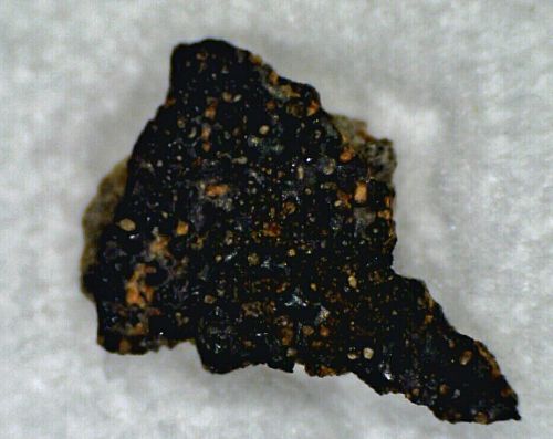 49469_9288_2591.jpg
