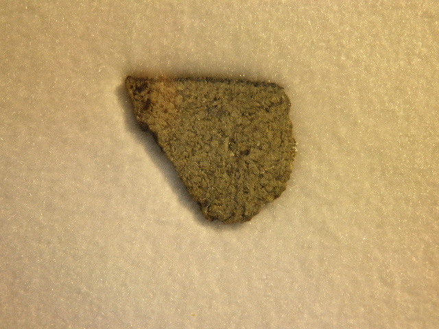 54565_25296_2583.jpg