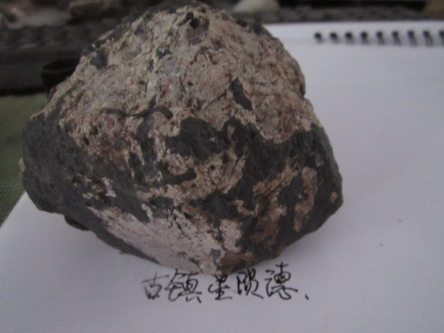 照片 224.jpg