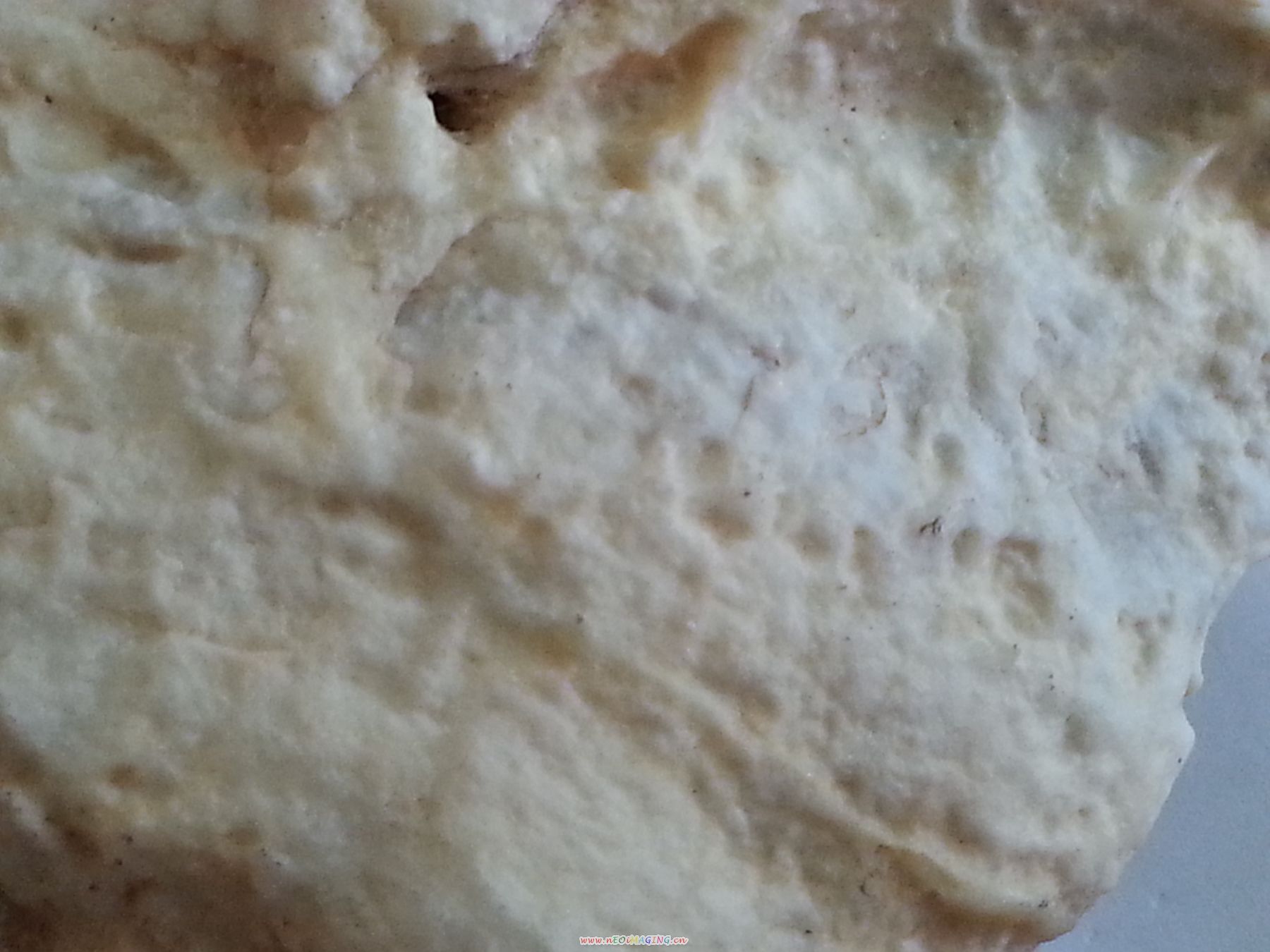 20130728_135718.jpg