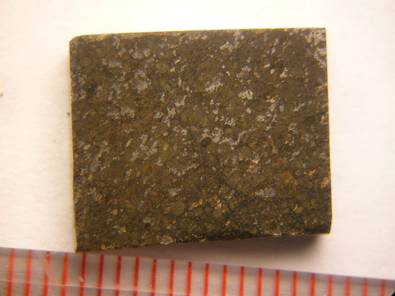 5456_8759_2585.jpg