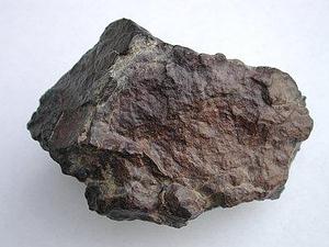 DAG127_bostick.jpg
