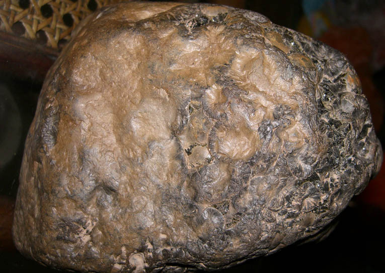 CIMG8449.jpg