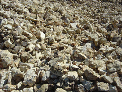 Fig8_16p2.jpg