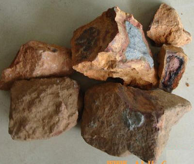 Fig8_16p_1.jpg