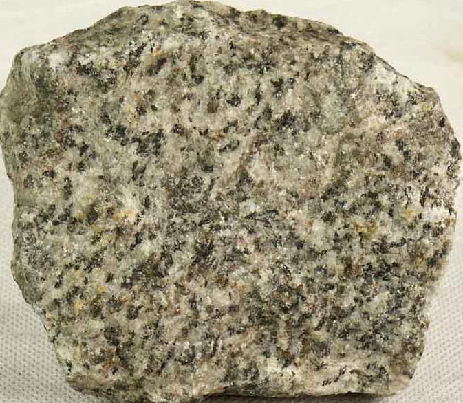 Fig8_19.jpg