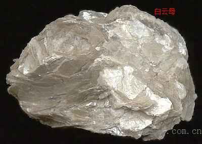 Fig8_23.jpg