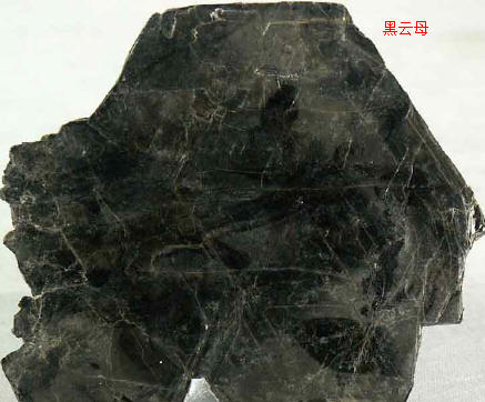 Fig8_23_2.jpg