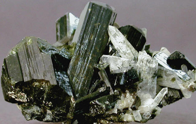 Fig8_23p.jpg