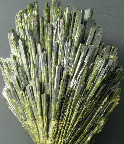 Fig8_23p_1.jpg