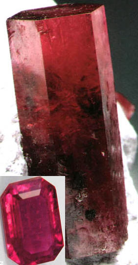 Fig8_23p_13.jpg