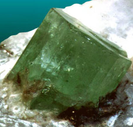 Fig8_23p_17.jpg